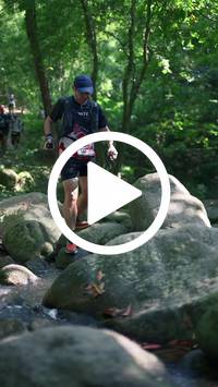 BIB:  <button type="button" onclick="openModal(28052287)" class="btn btn-primary btn-sm float-right" data-toggle="modal" data-target=".modal-high-quality">
                <i class="fa fa-download"></i> Download
                </button>